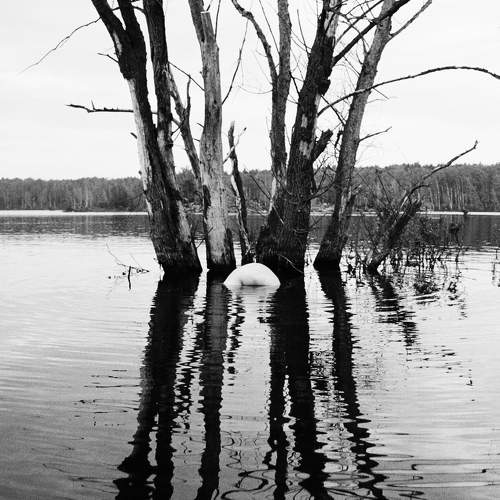 Photo #11731430