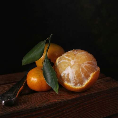 Photo #11731520