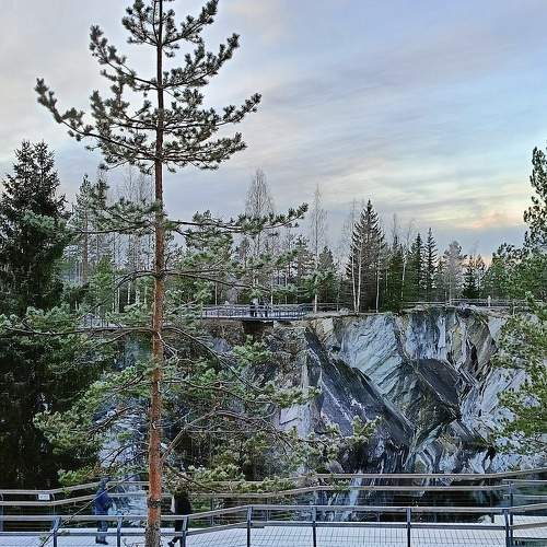 Photo #11731607
