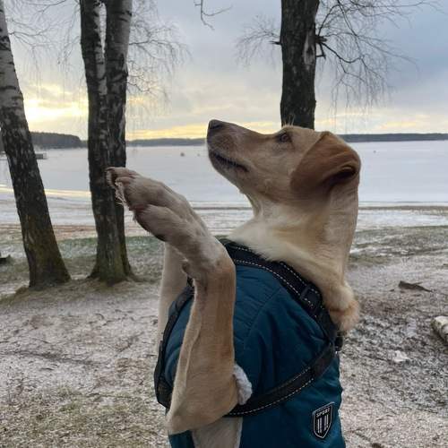 Photo #11731618
