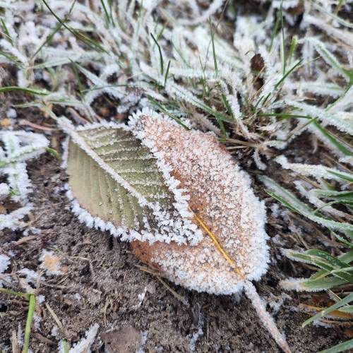 Photo #11731649