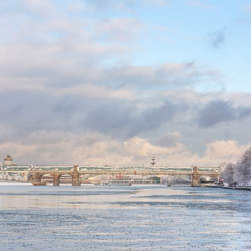 Photo #11731682