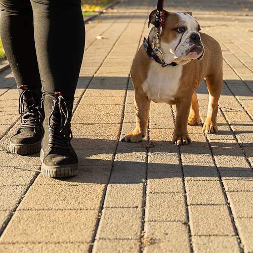 Photo #11731742