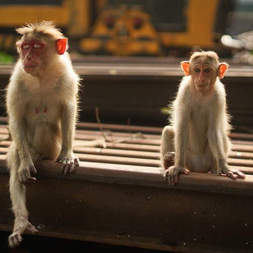 Photo #11731755