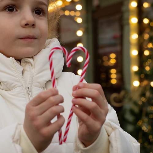 Photo #11731781