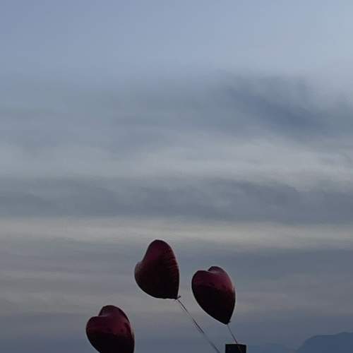 Photo #11731782