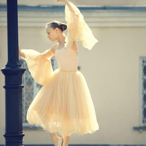 Photo #11732026