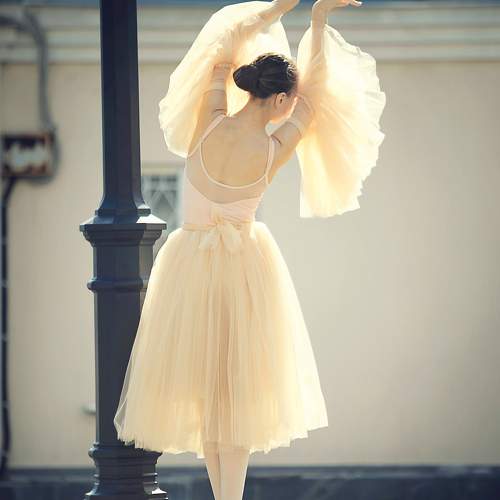 Photo #11732161
