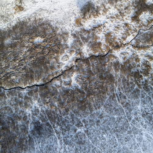 Photo #11732411