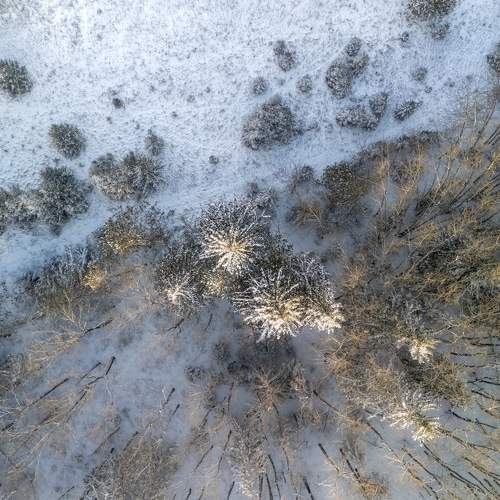 Photo #11732412