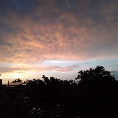 Photo #11732548