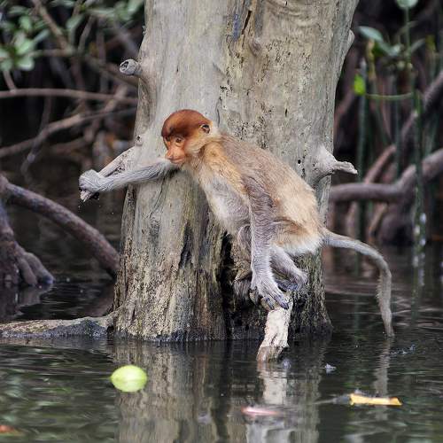 Photo #11732591