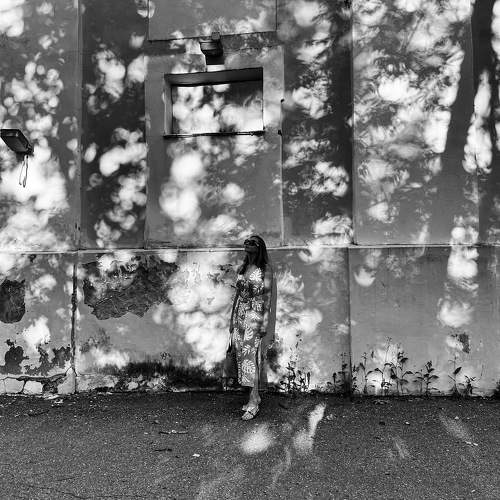 Photo #11732793