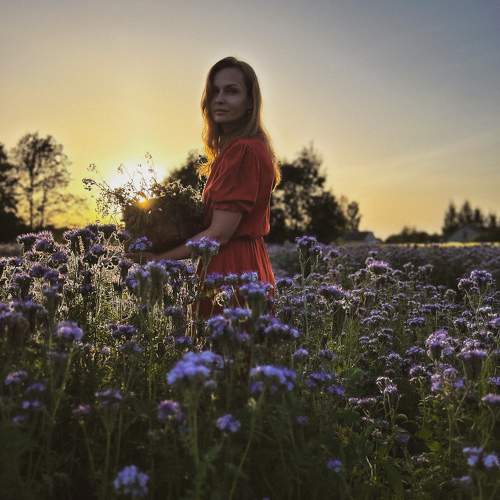 Photo #11732832