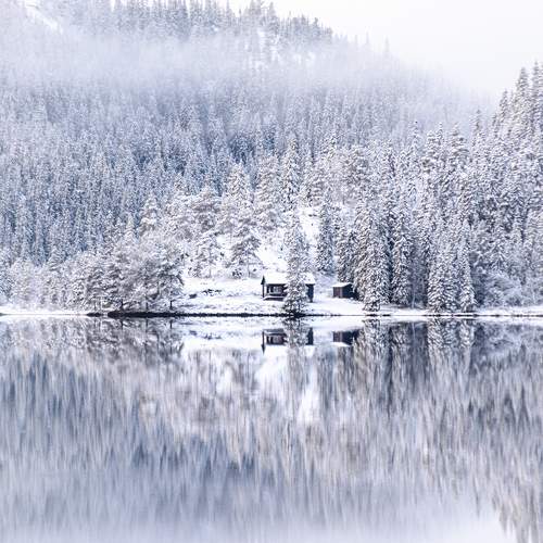 Photo #11733183
