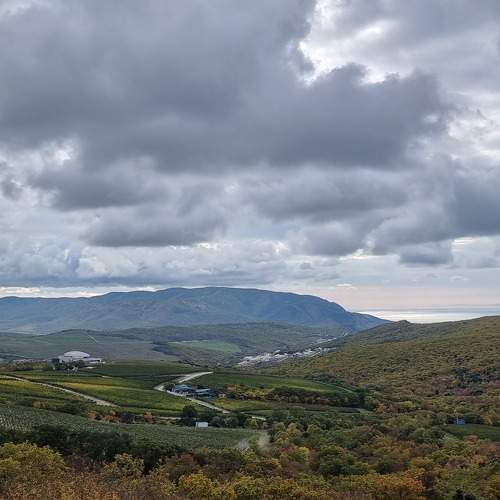 Photo #11733227