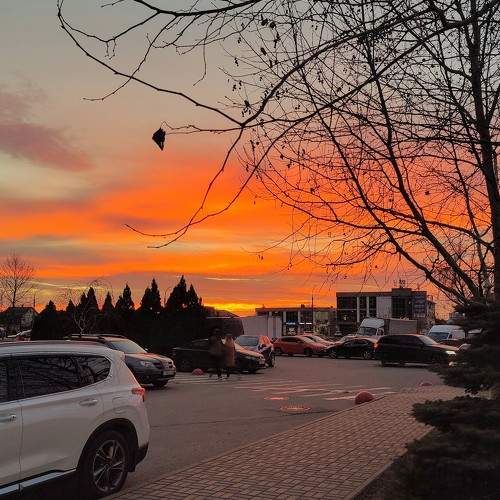 Photo #11733547