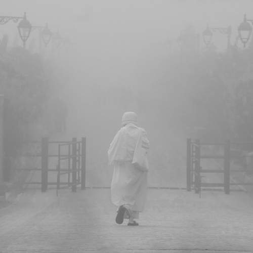 Photo #11733674