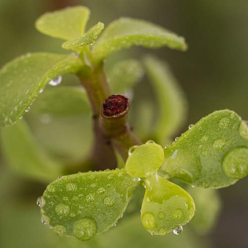 Photo #11733795