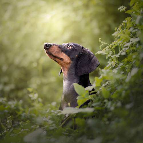 Фотография #11733862