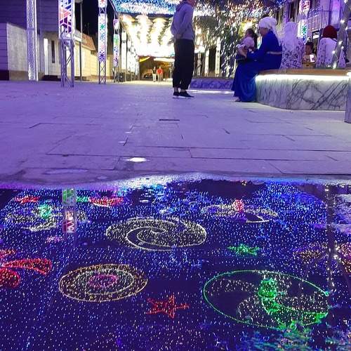 Photo #11734186