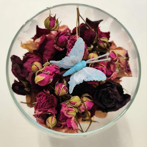 Photo #11734190