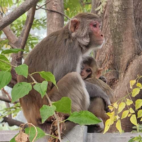 Photo #11734223