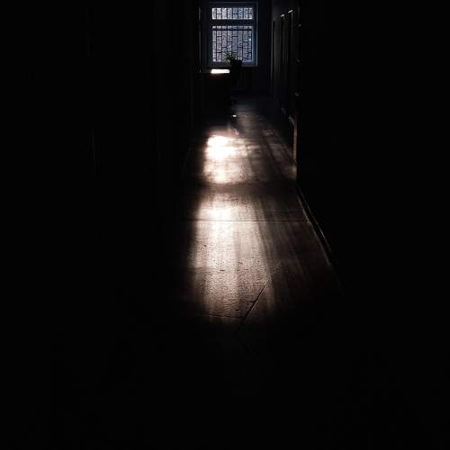 Photo #11734285