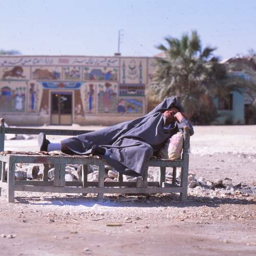 Photo #11734370