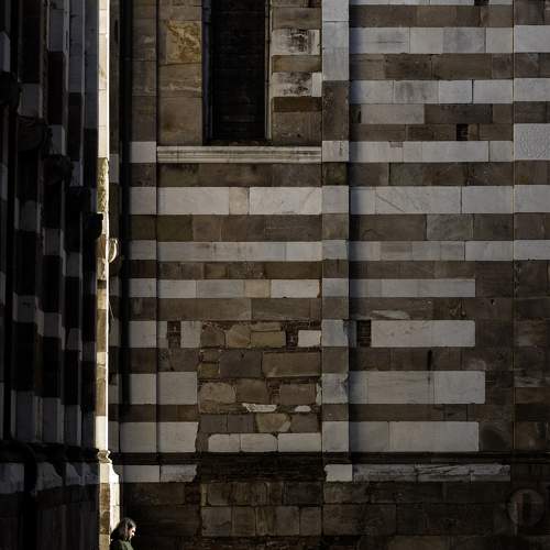 Photo #11734554
