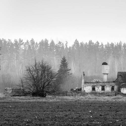 Photo #11734575