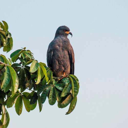 Фотография #11734681