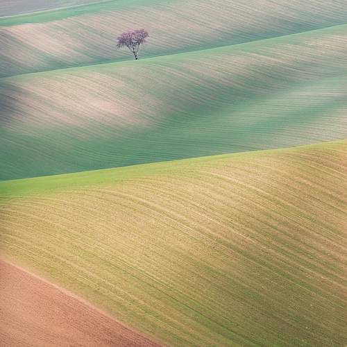 Photo #11734706