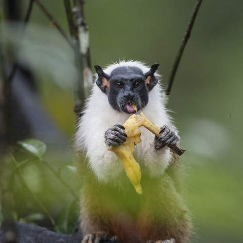 Фотография #11734761