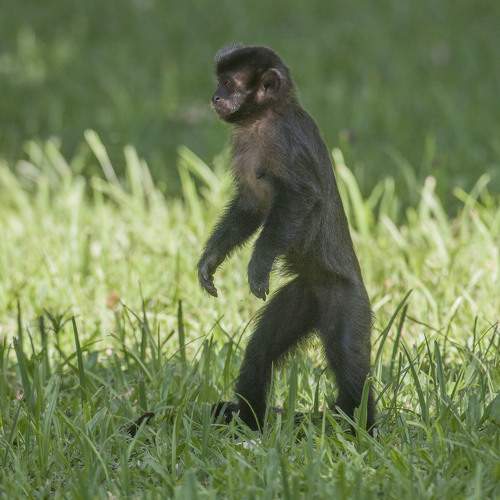 Фотография #11734773