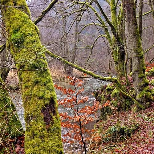Photo #11734808