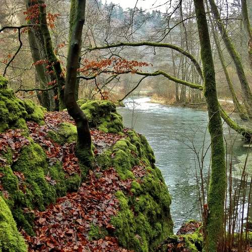 Photo #11734844