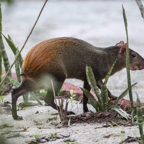 Фотография #11734858