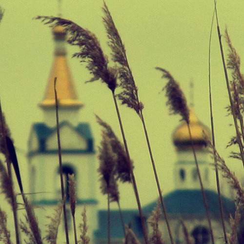 Photo #11734862