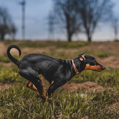 Photo #11734902