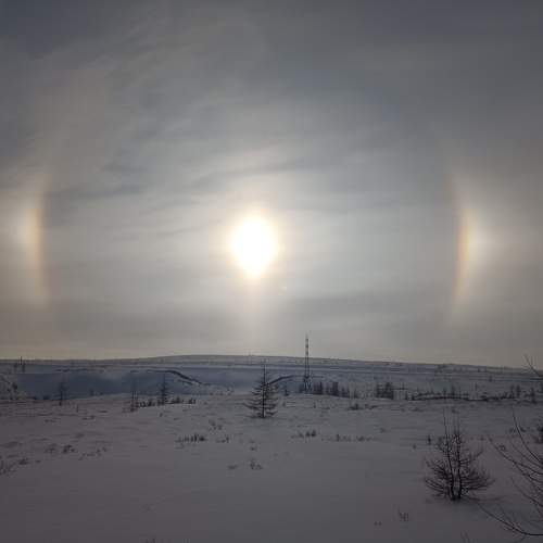 Photo #11735051