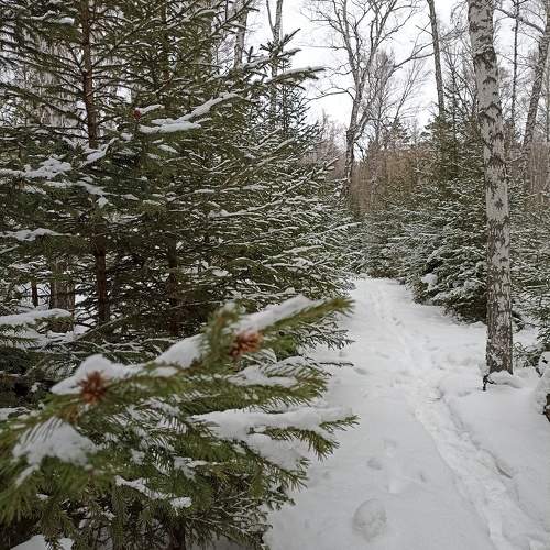 Photo #11735139