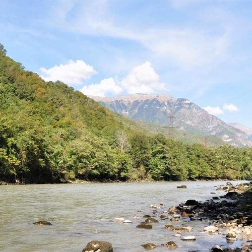 Photo #11735170