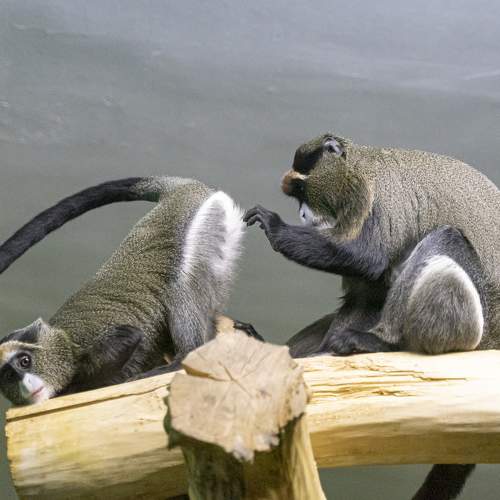 Photo #11735222