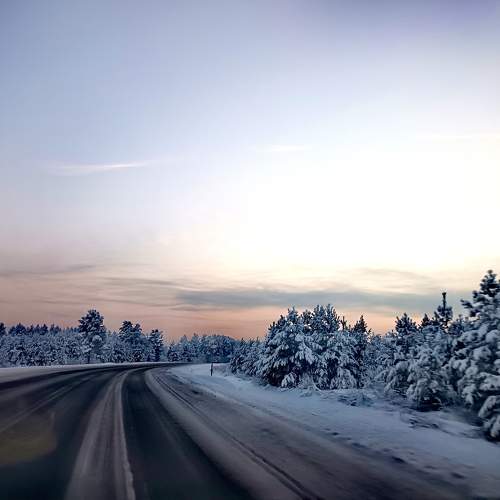 Photo #11735258