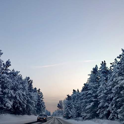 Photo #11735262