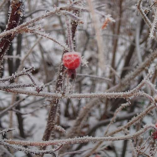 Photo #11735388