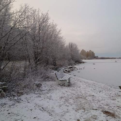 Photo #11735389