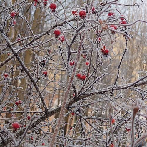 Photo #11735398