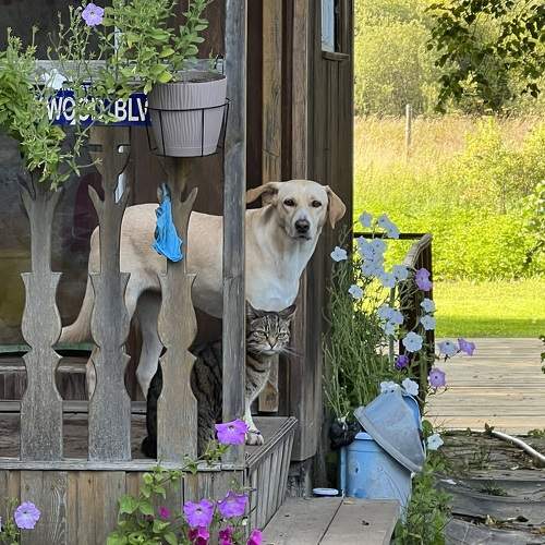 Photo #11735687
